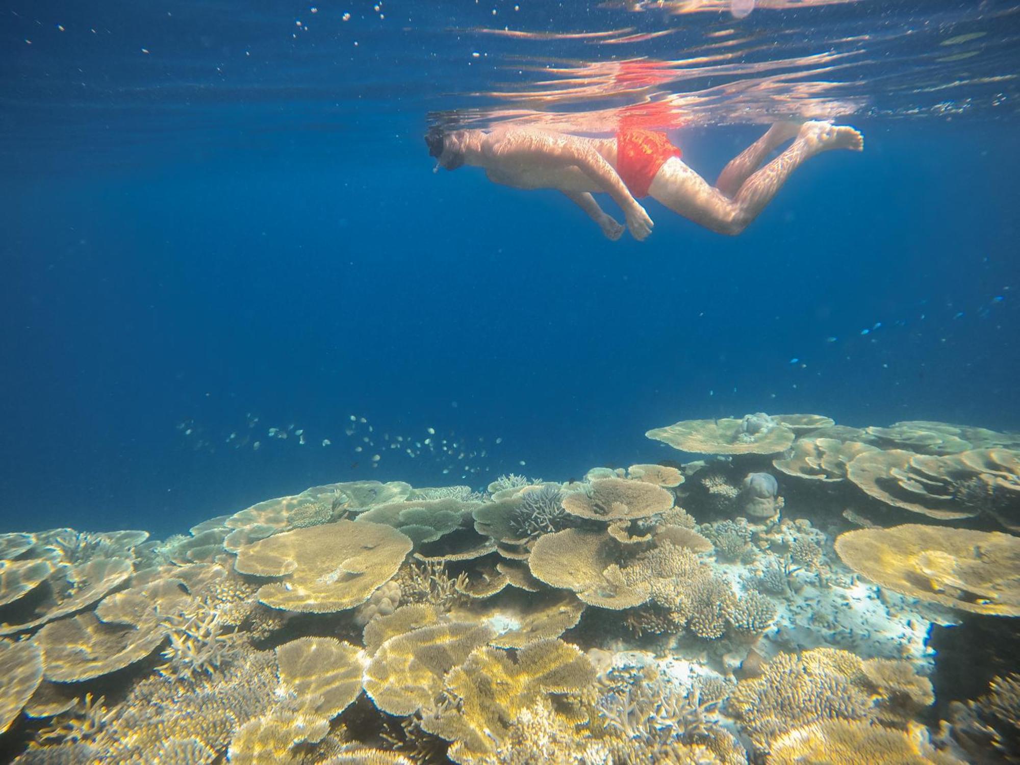 Ostrov Beach Ukulhas Island Luaran gambar